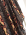 Sukienka brown snake