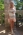 18858-_1_.webp