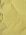 Żółty Top WOW Giallo Molilla.jpg