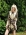 Czarna Sukienka w stylu Versace / Molilla