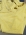 Top WOW Giallo Molilla.jpg